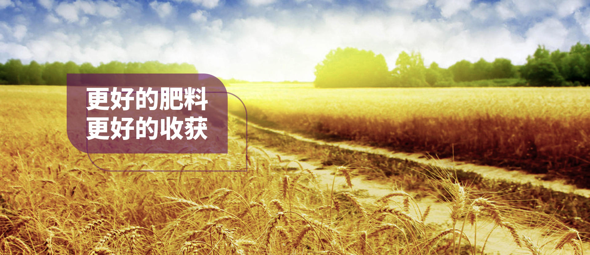 唯拓爾