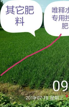 風(fēng)吹稻花香，小唯來下鄉(xiāng)