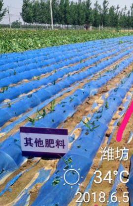 同樣是九年義務(wù)教育，為何你如此優(yōu)秀？